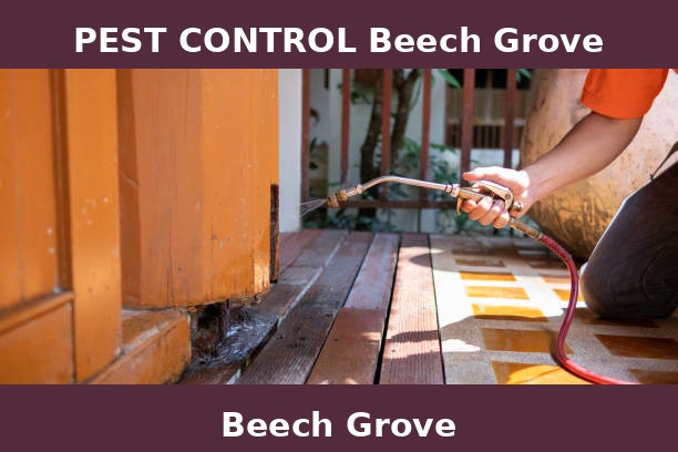 PEST CONTROL Beech Grove